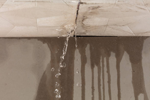 Professional Structural Drying technician working in Plymouth, NC